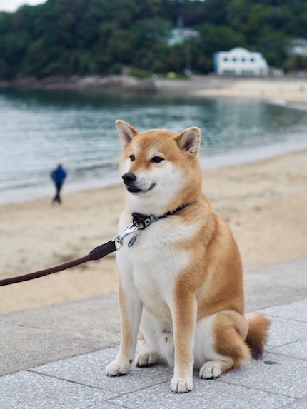 三河湾への旅 その1 Suomi 三河湾への旅 その1 Suomi