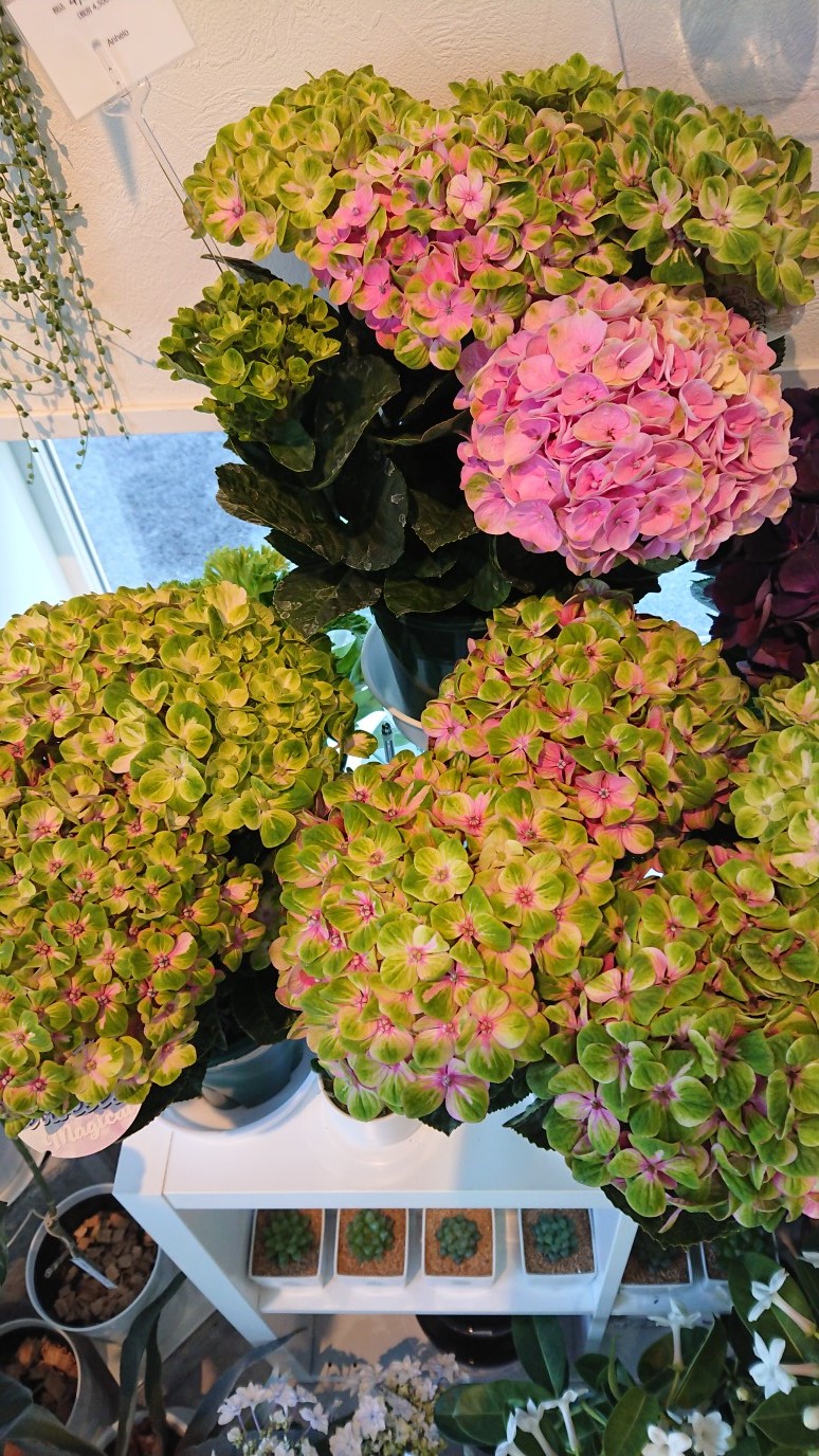 c0239780_0511917.jpg