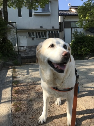 f0315081_17145138.jpeg