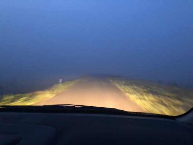e0192884_10082573.jpg