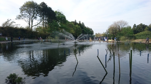 e0015490_08041403.jpg