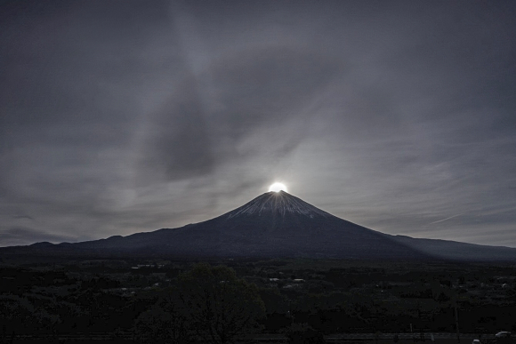 静岡のお茶畑_e0376691_18073781.jpeg