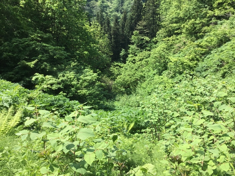 d0356192_14111151.jpeg