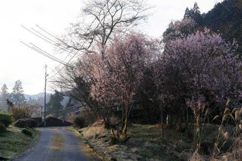 e0366896_14521681.jpg
