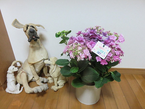 f0346196_10535001.jpg