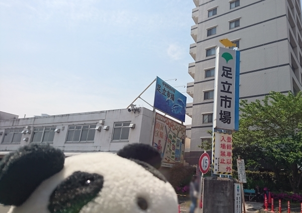 足立市場へ行ってきた_f0033598_20534743.jpg