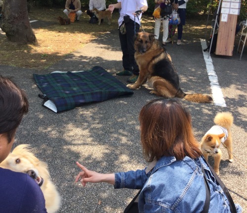 b0195100_11185303.jpeg