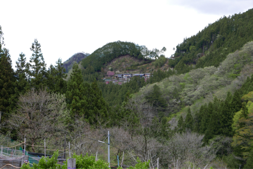 天界の村を歩く２ 関東山地 南牧川_d0147406_20075131.jpg