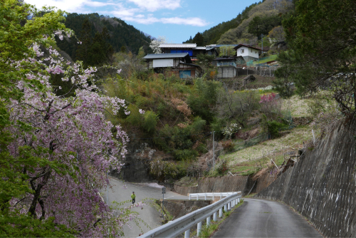 天界の村を歩く２ 関東山地 南牧川_d0147406_21033736.jpg