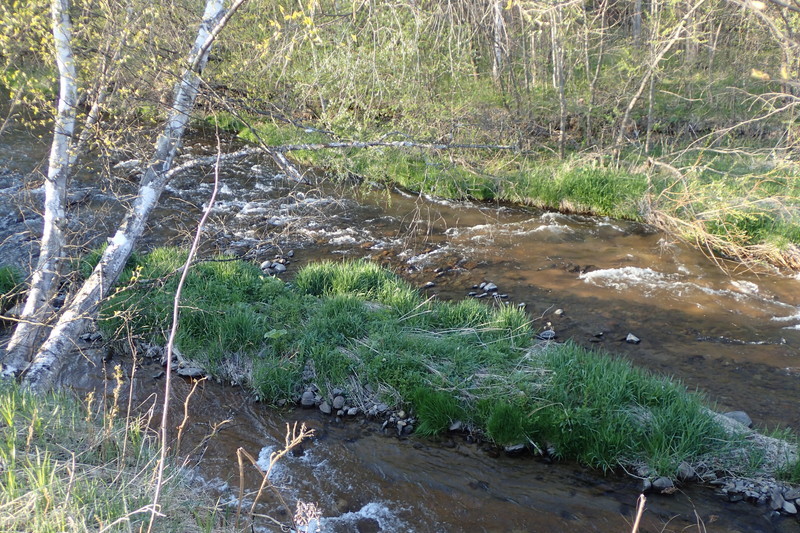 d0051707_21472563.jpg