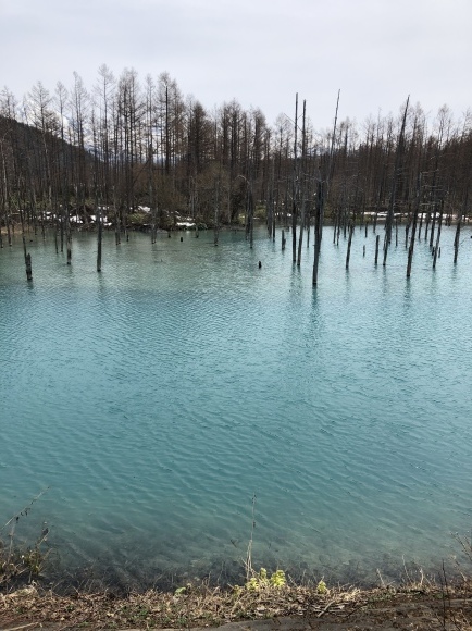 a0323521_14271886.jpeg