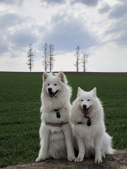 a0323521_14274330.jpeg
