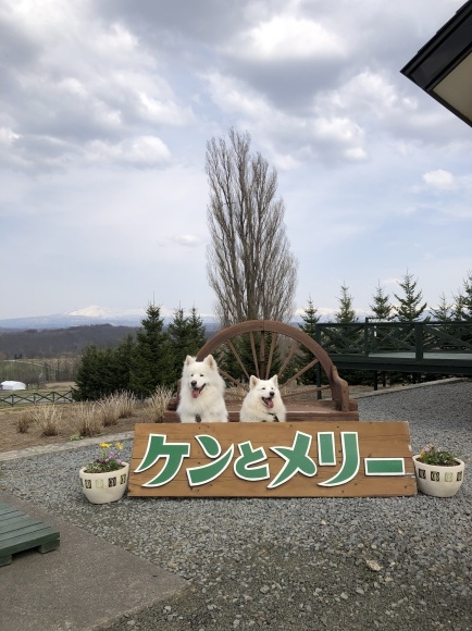 a0323521_14282459.jpeg