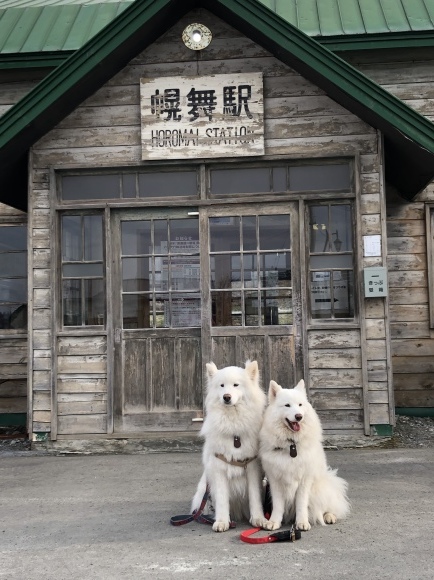 a0323521_14291163.jpeg