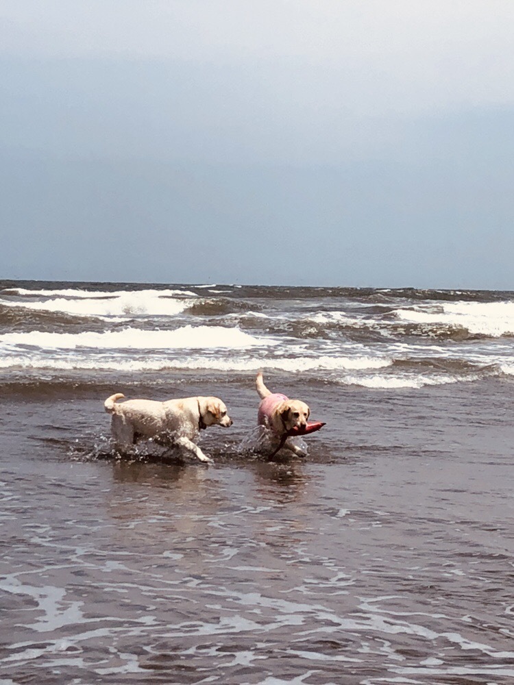 b0339522_15173255.jpeg