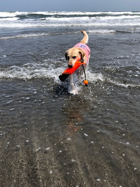 b0339522_15175582.jpeg
