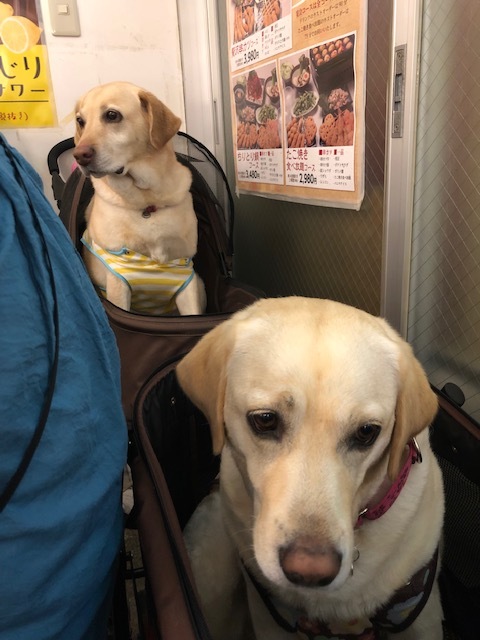 b0339522_15273455.jpeg