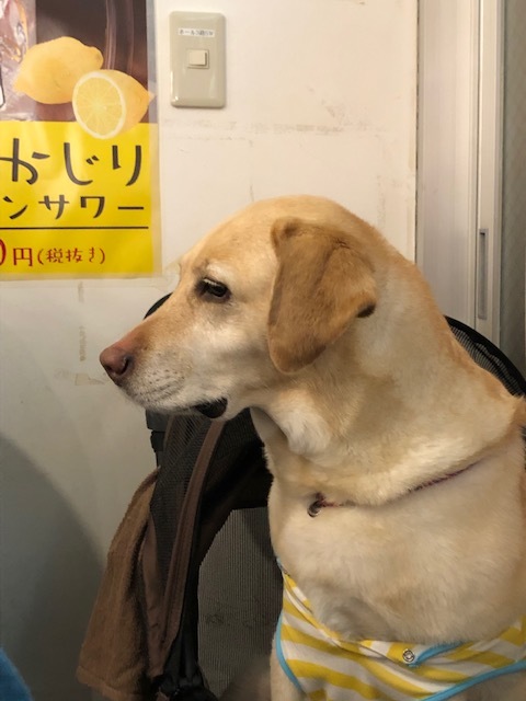 b0339522_15284495.jpeg