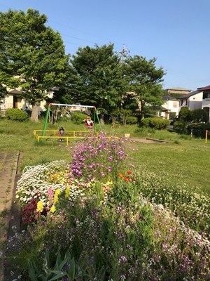 公園ハシゴ_b0119525_20054449.jpg