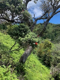 c0187025_05553463.jpg