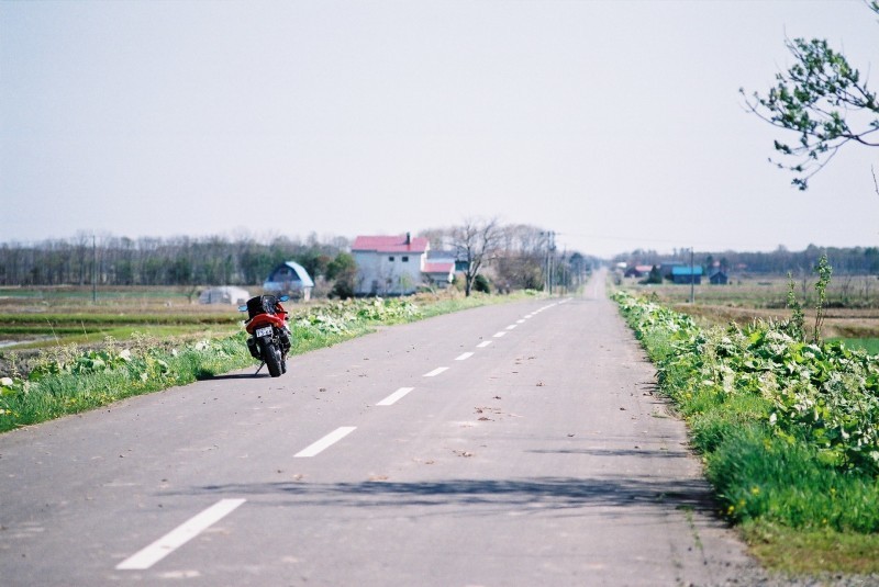 f0362725_20071114.jpg