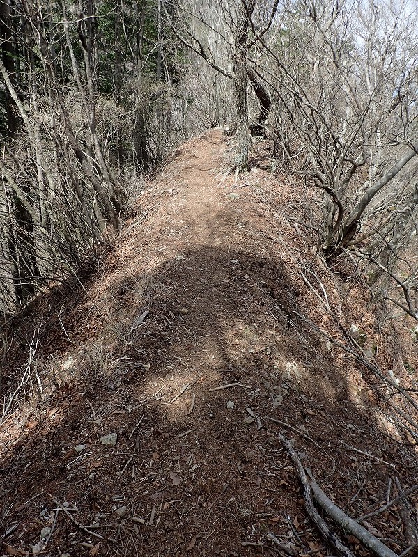e0284726_9201670.jpg