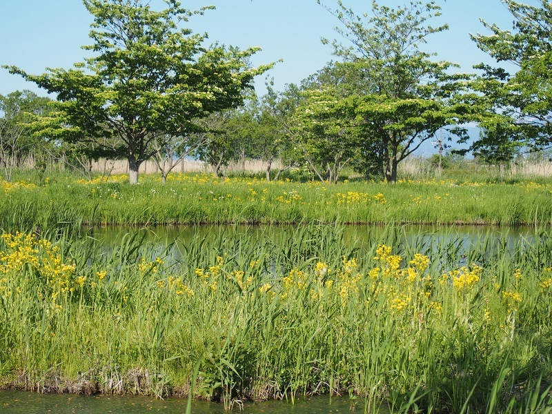 b0368629_16465904.jpg