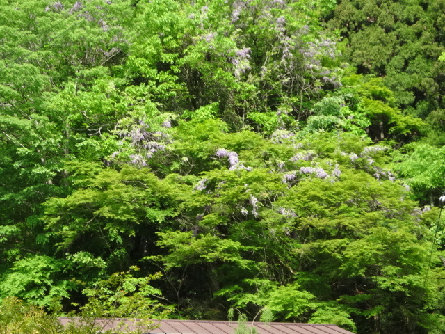 f0177529_20204739.jpg
