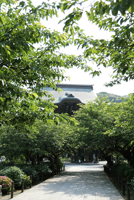 鎌倉散歩　#68 －新緑の北鎌倉 建長寺（前編）－ _b0169330_17464893.jpg