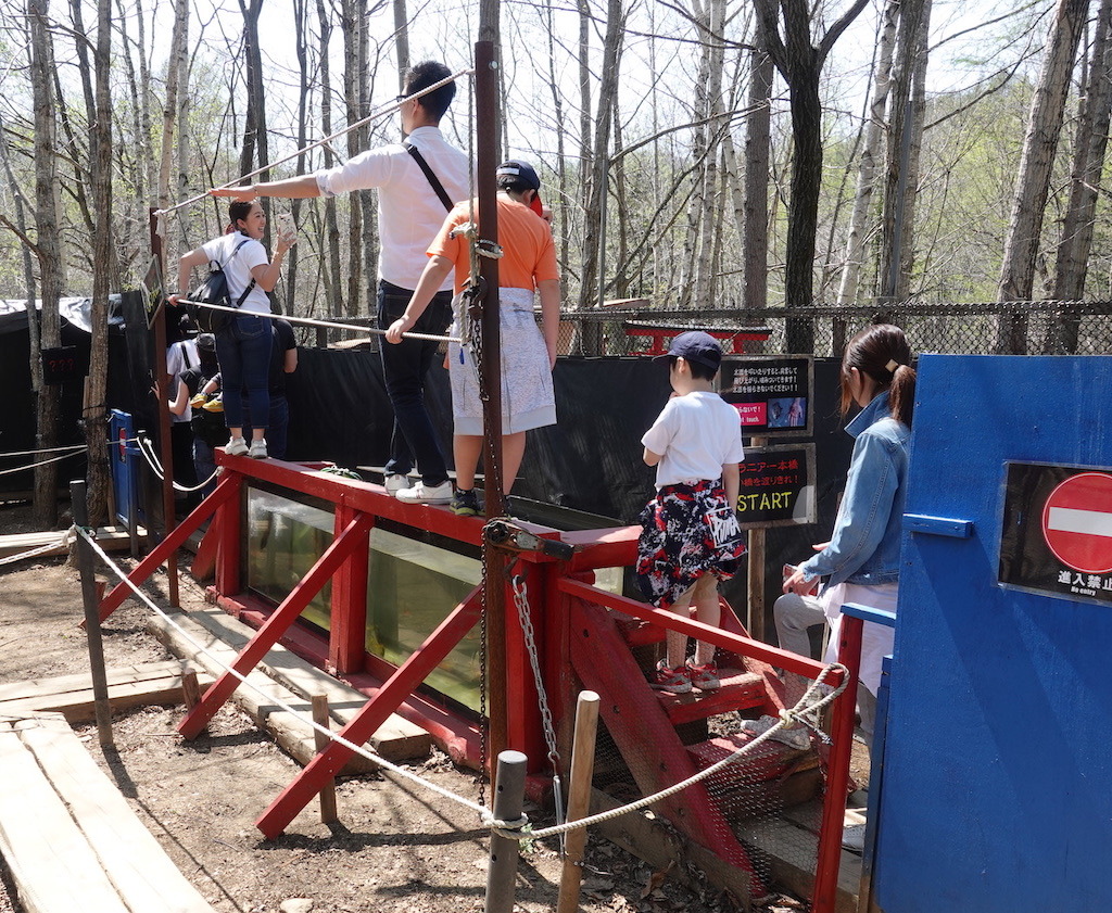 GW帰省5 ~ ノースサファリサッポロへリベンジ。 日本一危険なふれあい型動物園！ ~_b0024832_02492900.jpg