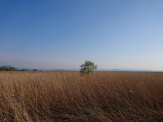 f0118332_00080370.jpg
