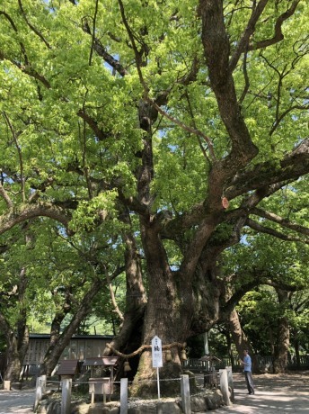 自然エネルギー_b0209638_15011436.jpeg