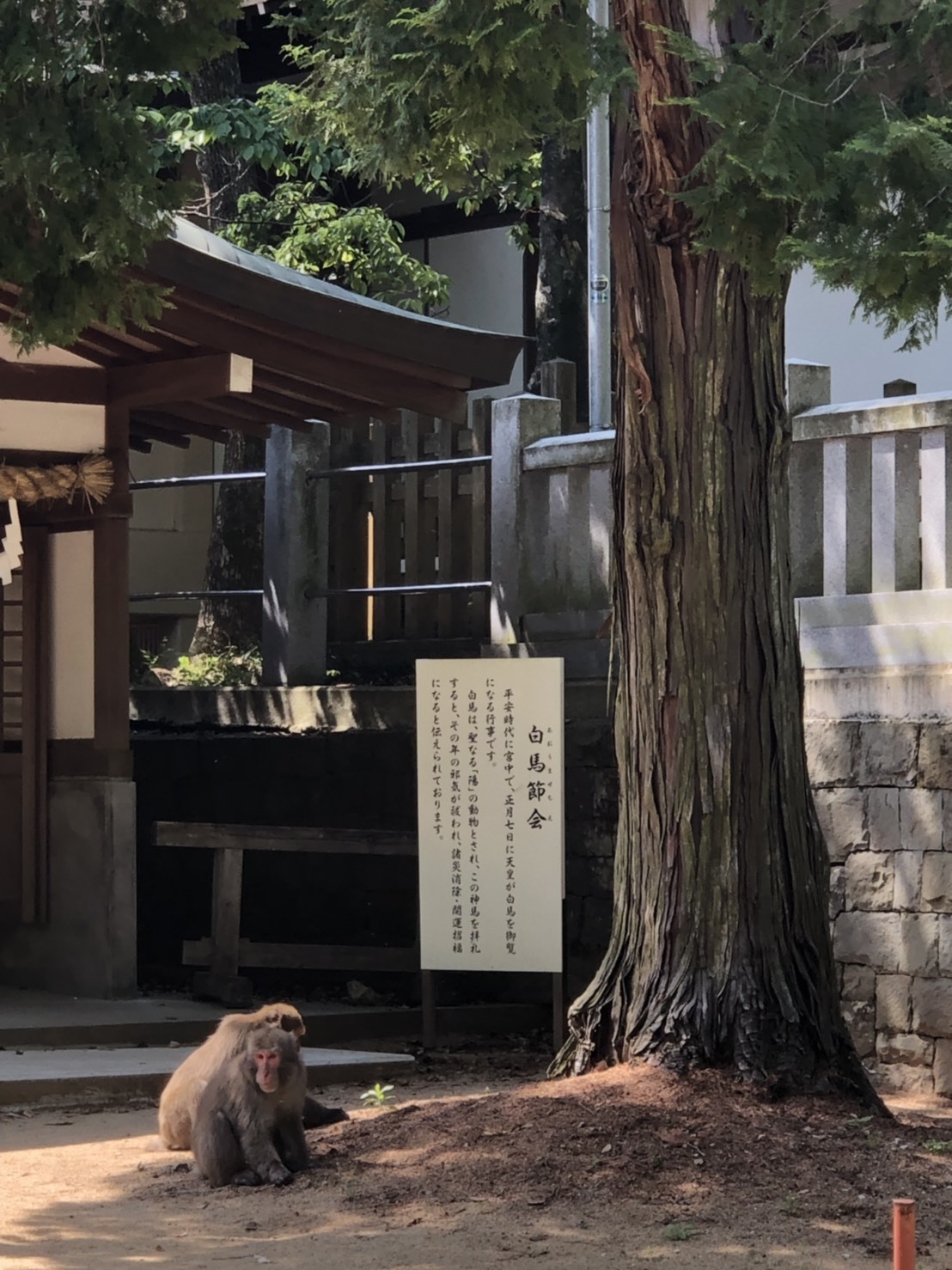 自然エネルギー_b0209638_15012233.jpeg