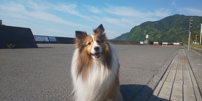 f0210439_22102334.jpg