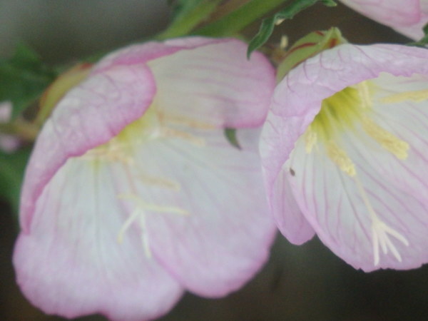 a0054240_21091672.jpg