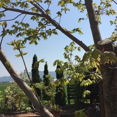 a0272241_13391774.jpeg