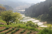 b0260241_15062910.jpg