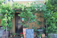b0260241_15064843.jpg