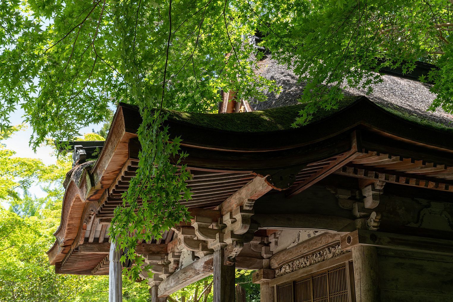 【国宝・重要文化財｜観心寺】　建掛塔・訶梨帝母天堂・書院　（大阪府 河内長野市）_b0212342_09030253.jpg