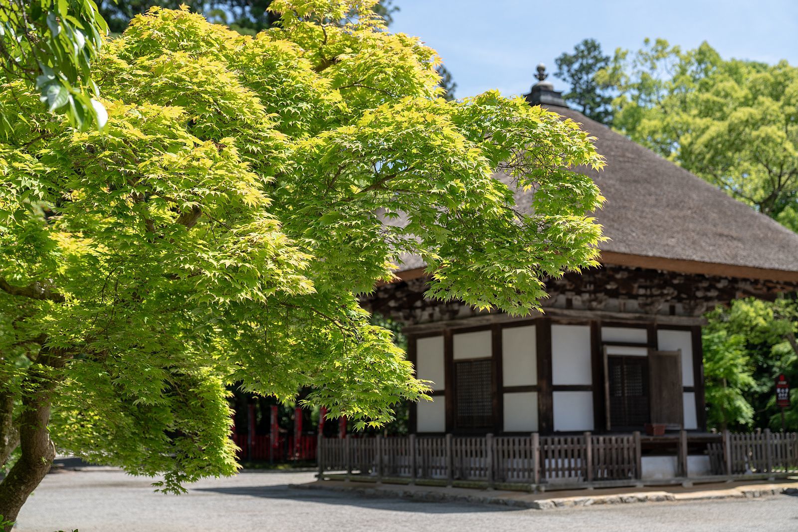 国宝・重要文化財｜観心寺】 建掛塔・訶梨帝母天堂・書院 （大阪