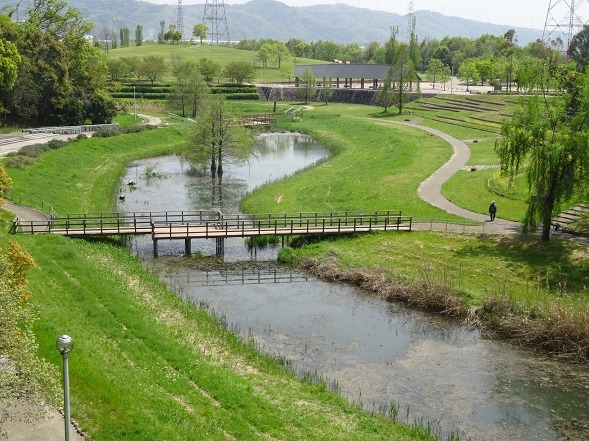 池 公園 山田