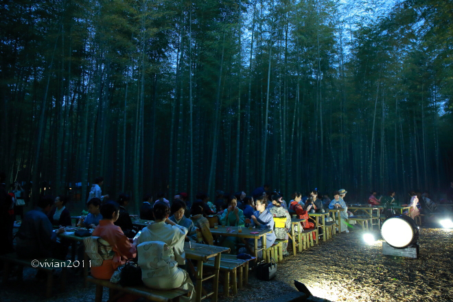 若竹のきもの会 ~ドレスコードは着物!~ in 若竹の杜 若山農場_e0227942_22533500.jpg
