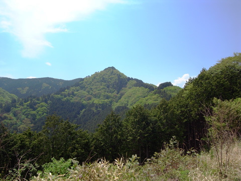 新緑の御岳山に登ってきました_b0145843_22172657.jpg