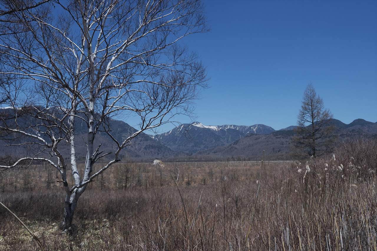 f0396143_14331318.jpg