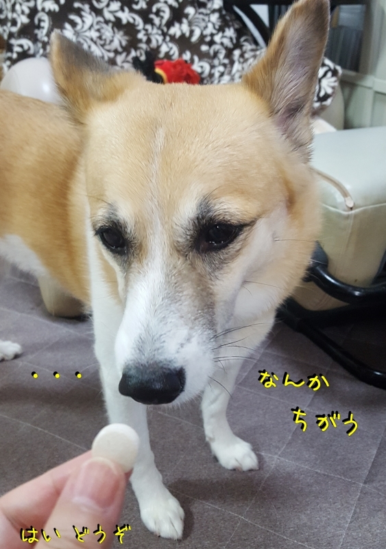 a0353444_22461551.jpg