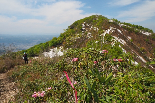 2019/5/11 下権現堂山から中越周回_b0189948_21595788.jpg