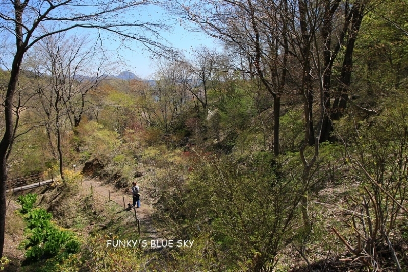 c0145250_20422387.jpg