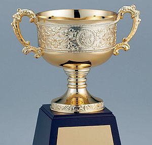 アマチュア部門で優勝_d0168150_10012999.jpg