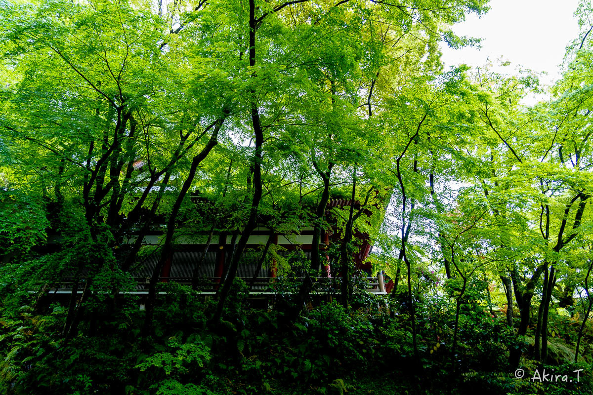 f0152550_14123547.jpg