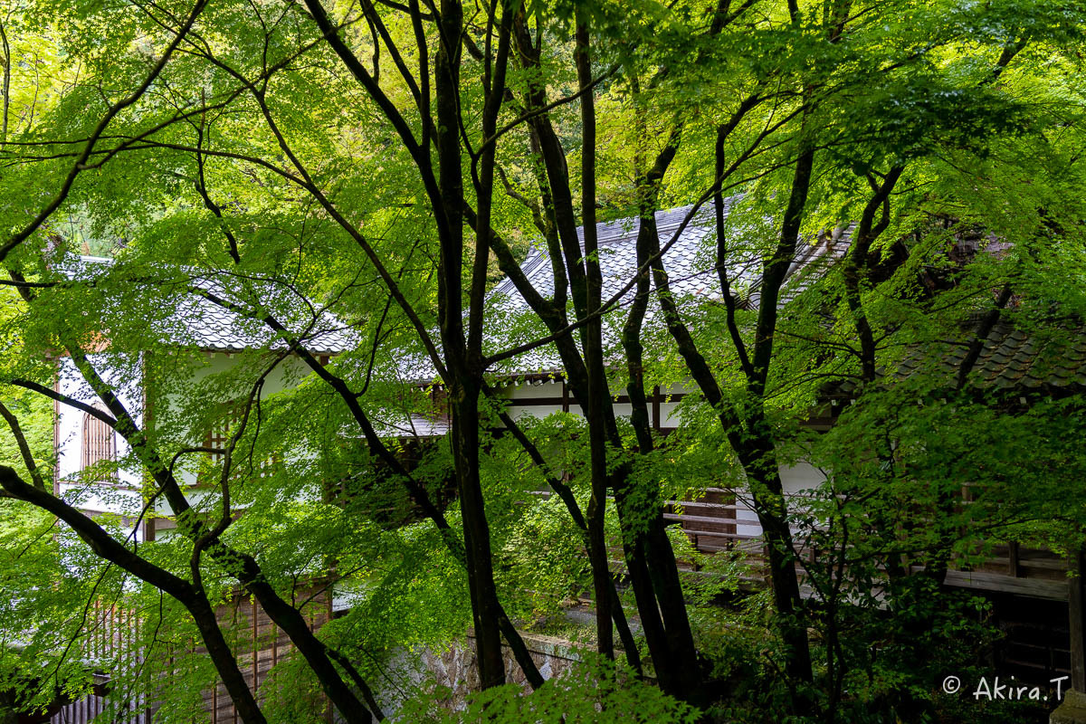 f0152550_14125041.jpg